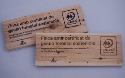 cartells_PEFC_impres_gravat cartells_PEFC_impres_gravat