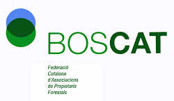 BOSCAT BOSCAT