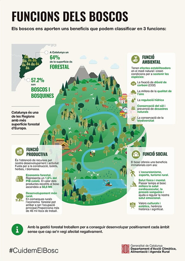 Infografia FORESTS Funciones Bosques ENSCAT Infografia FORESTS Funciones Bosques ENSCAT