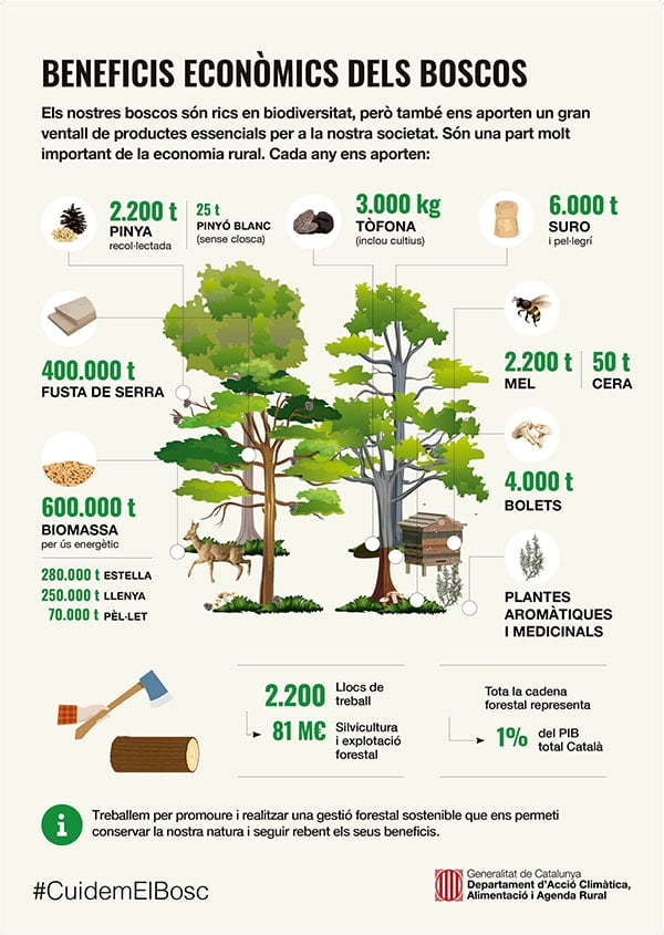 Infografia FORESTS Beneficios bosques ENSCAT Infografia FORESTS Beneficios bosques ENSCAT