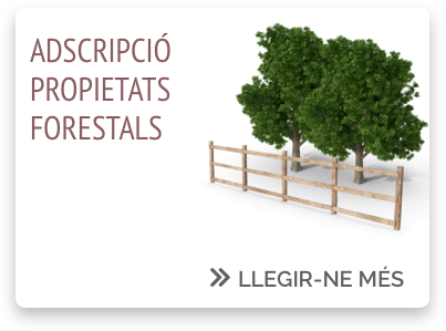 Adscripció propietats forestals_ENSCAT Adscripció propietats forestals_ENSCAT