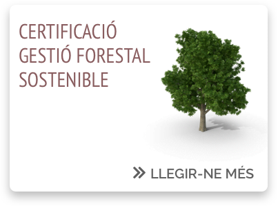 Certificació gestió forestal sostenible_ENSCAT Certificació gestió forestal sostenible_ENSCAT
