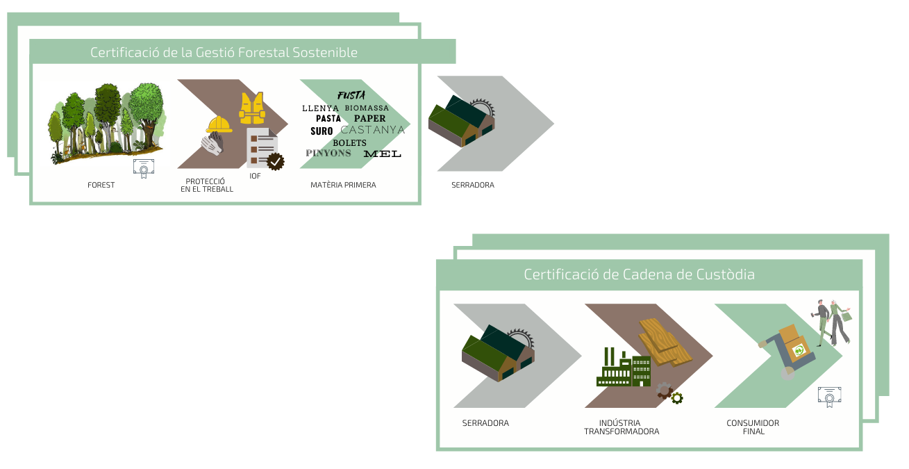 ENSCAT GFS _Cadena de Custòdia