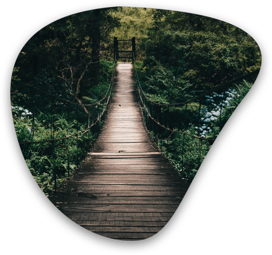 Forest i pont ENSCAT Forest i pont ENSCAT