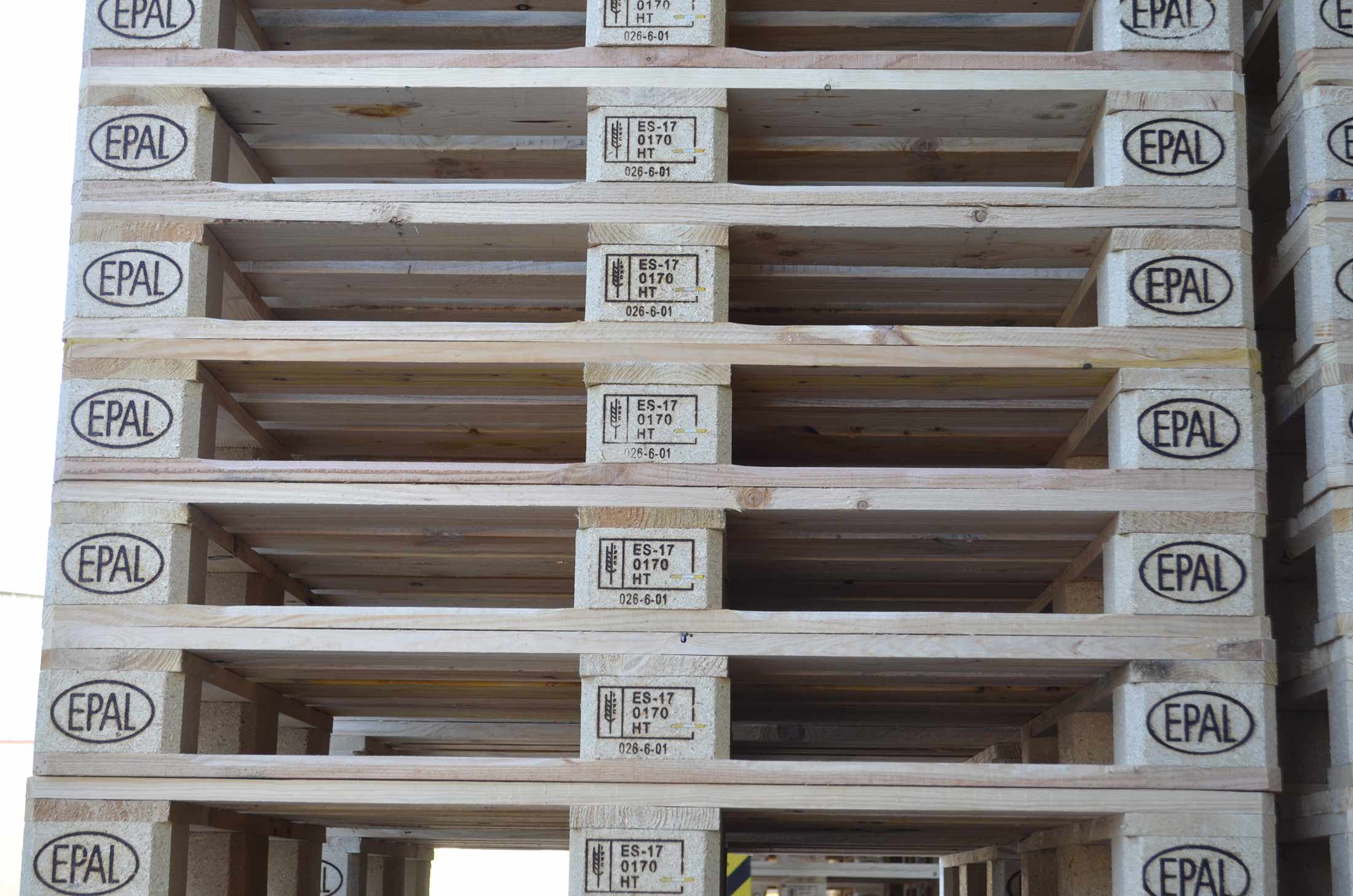 Palet_ENSCAT Palet_ENSCAT