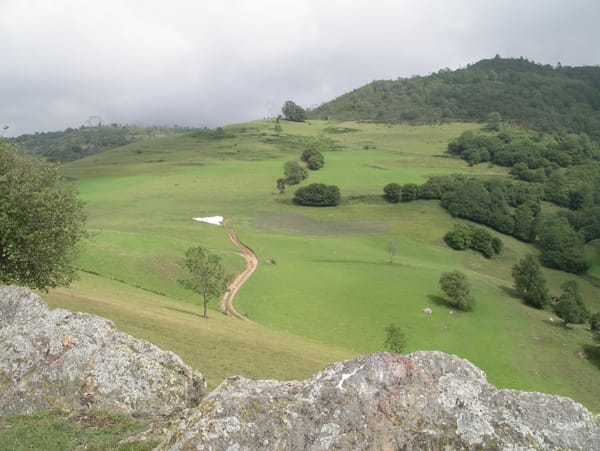 superficio forestal ordenada_enscat superficio forestal ordenada_enscat